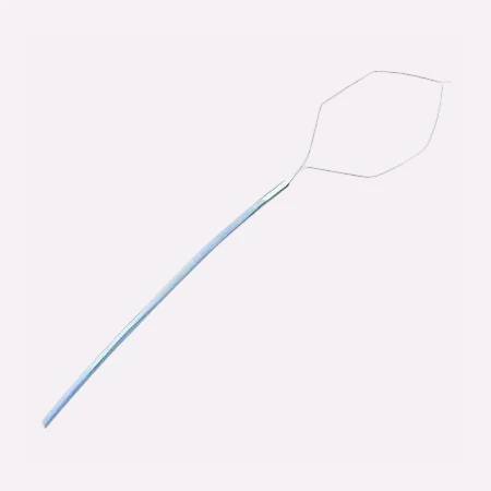 Endoscopic Snare Polypectomy Endoscopic Snare Polypectomy
